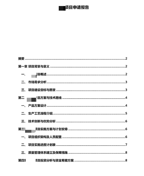 項目申請報告
